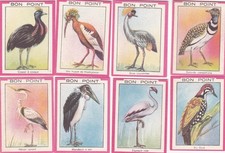 Lot de 8 images bon point thème les oiseaux publicité au dos Blédine TB