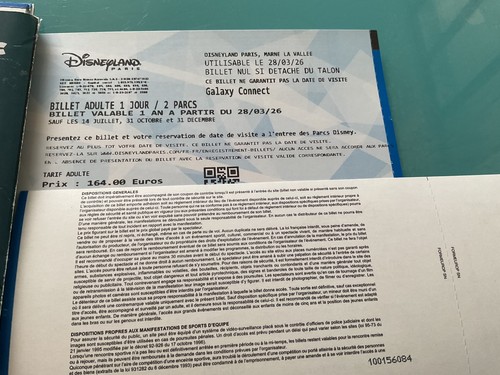 Billet adulte disneyland - 1,