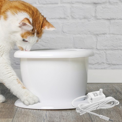 Pompe fontaine eau chat - pompe, pour