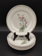 Lot2 de 6 assiettes Céranord
