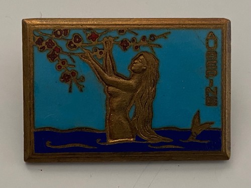 Marine nationale insigne du - nationale,