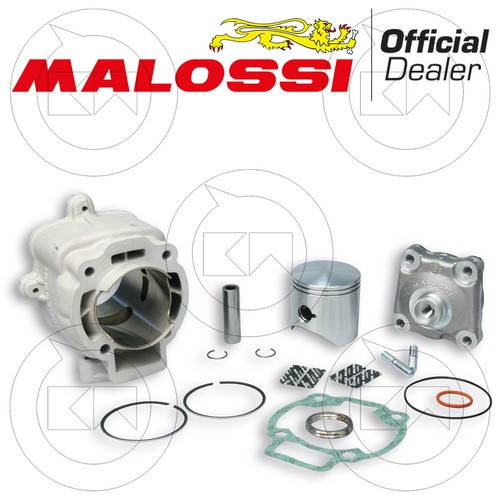 Malossi 3111140 set - malossi,
