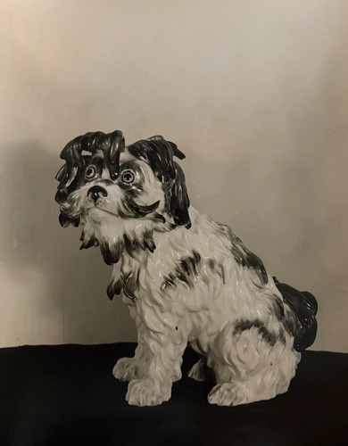 Photographie chien ceramique - photographie,