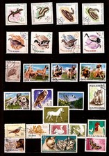 PIM1241 ROUMANIE 25T:les reptiles, chiens de race,chats,canards et divers 