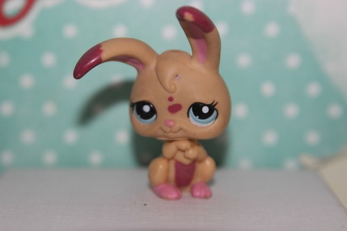 Authentic littlest petshop - authentic,