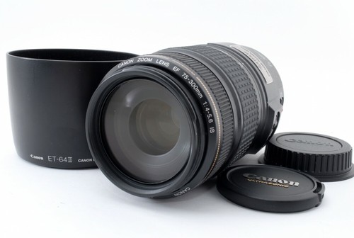 Canon 300mm 5 6 is - canon,