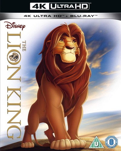 The lion king - lion, uhd