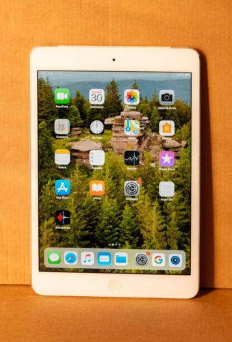 Ipad mini retina cellular - 2,