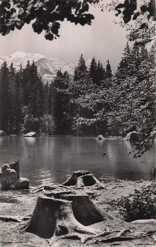 Plateau assy chalet - 74,