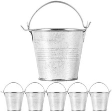 6 Pcs Mini Seau Seaux Avec Poignées De Fleurs En Métal Mini-seau
