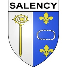 Salency 60 ville sticker