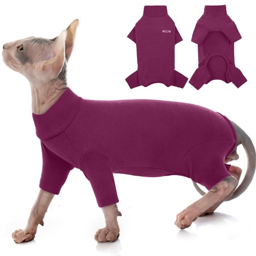 Vêtements pour chat - chat, sphynx