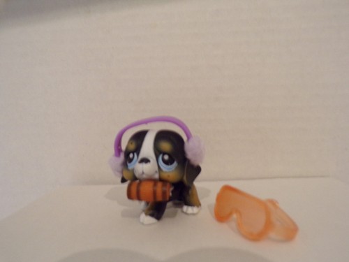 Littlest pet shop - pet, shop~#145~saint