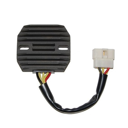 Electrosport régulateur - electrosport, de
