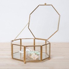 Planteur de Plante Succulente