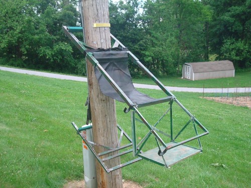 Tree lounge climbing - tree,
