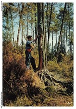 ASQP4-0225-40 - Le gemmeur