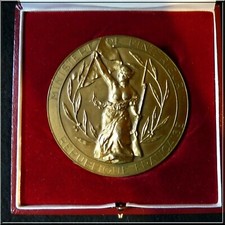 MEDAILLE BRONZE  LIBERTE GUIDANT LE PEUPLE 82MM  204GR