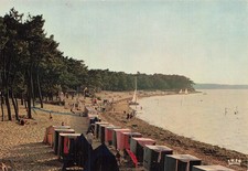 17 RONCE LES BAINS LA PLAGE DE LA CEPE