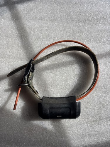 Garmin dc40 gps dog - garmin,