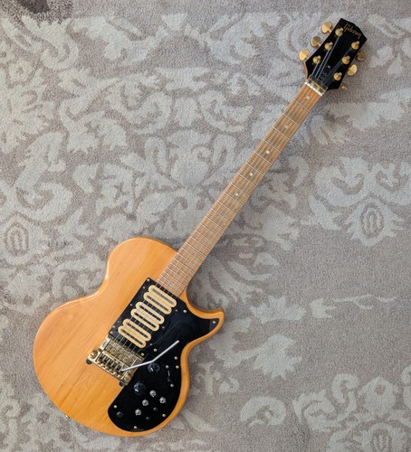 Gibson heavily modded - l6-s,