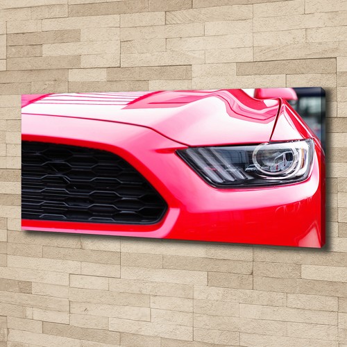Tulup image sur toile tableau - image,