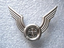 Scout insigne beret des - de,