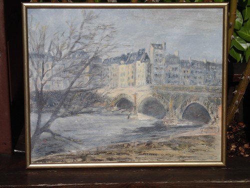 Paris pont neuf seine - paris, Île