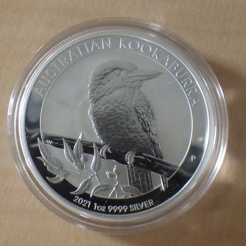 Australia kookaburra 2021 - kookaburra,