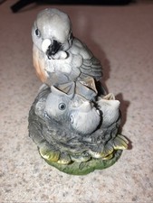 Worm  being fed to baby chicks