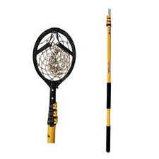 Cueilleuse de fruits à mangue