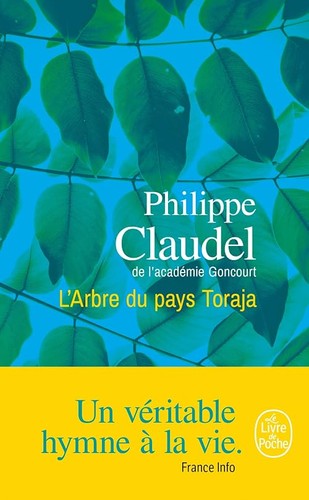 Arbre pays toraja - l'arbre,