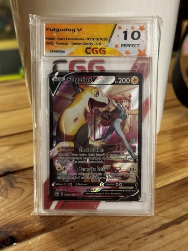 Carte pokemon fulgudog v - carte, :