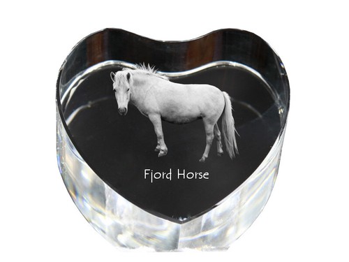 Fjord poney photo de - poney,