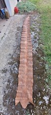 peau de serpent du Cameroun de 4,35 m