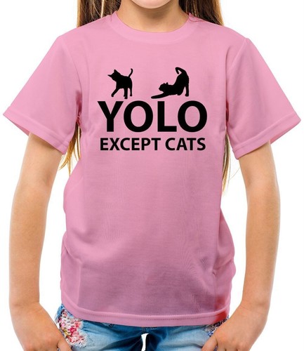 Yolo sauf chats - chats,