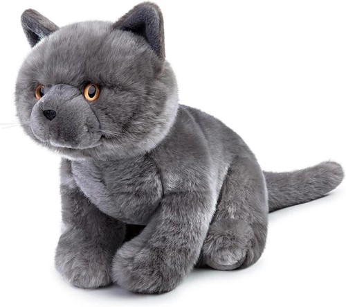 Lifelike british shorthair - british, cat