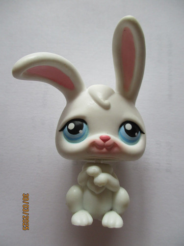 Petshop lapin garenne - petshop, n°49