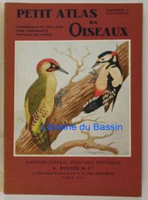 Petit Atlas des oiseaux TII Passereaux (fin) rolliers perroquets rapaces 1941