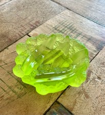 Daum France « Mimosa »