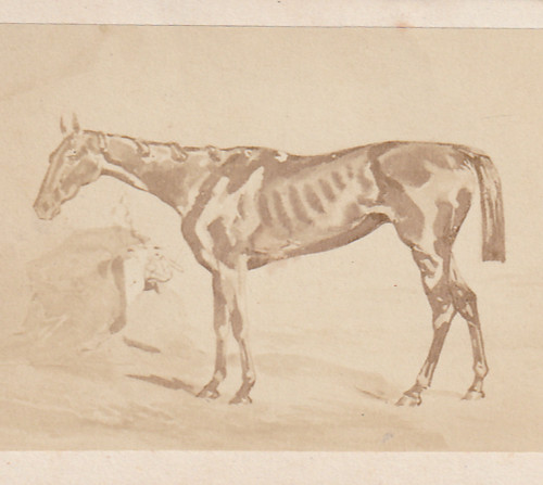 Etude cheval chevaux soldat - etude,