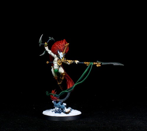 Commission pro painted - commission,