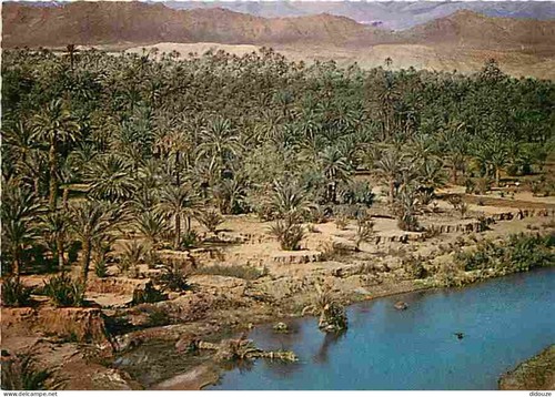 Carte postale maroc - -,