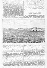 LES PLANTES ENVAHISSANTES / JACINTHE D'EAU / ADP PAR PIERRE DE MERIEL 1898