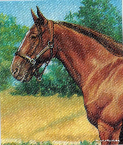 Yt3183 cheval trotteur - yt3183,
