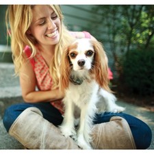 PetSafe Système de clôture anti-fugue avec fil In-Ground Fence de luxe pour p...