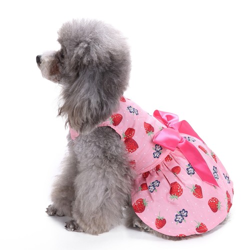Habit pour chien vetement - pour,