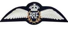 Raf Britannique Pilote Ailes