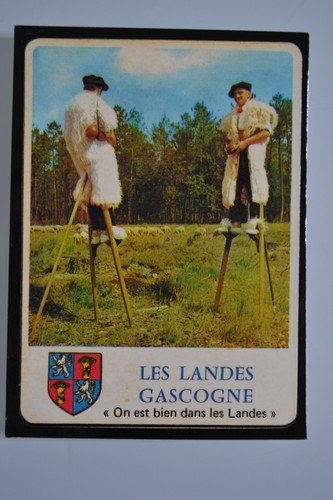 Les landes gascogne - les,