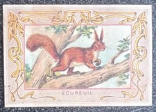 Image publicité Ecureuil Années 1910